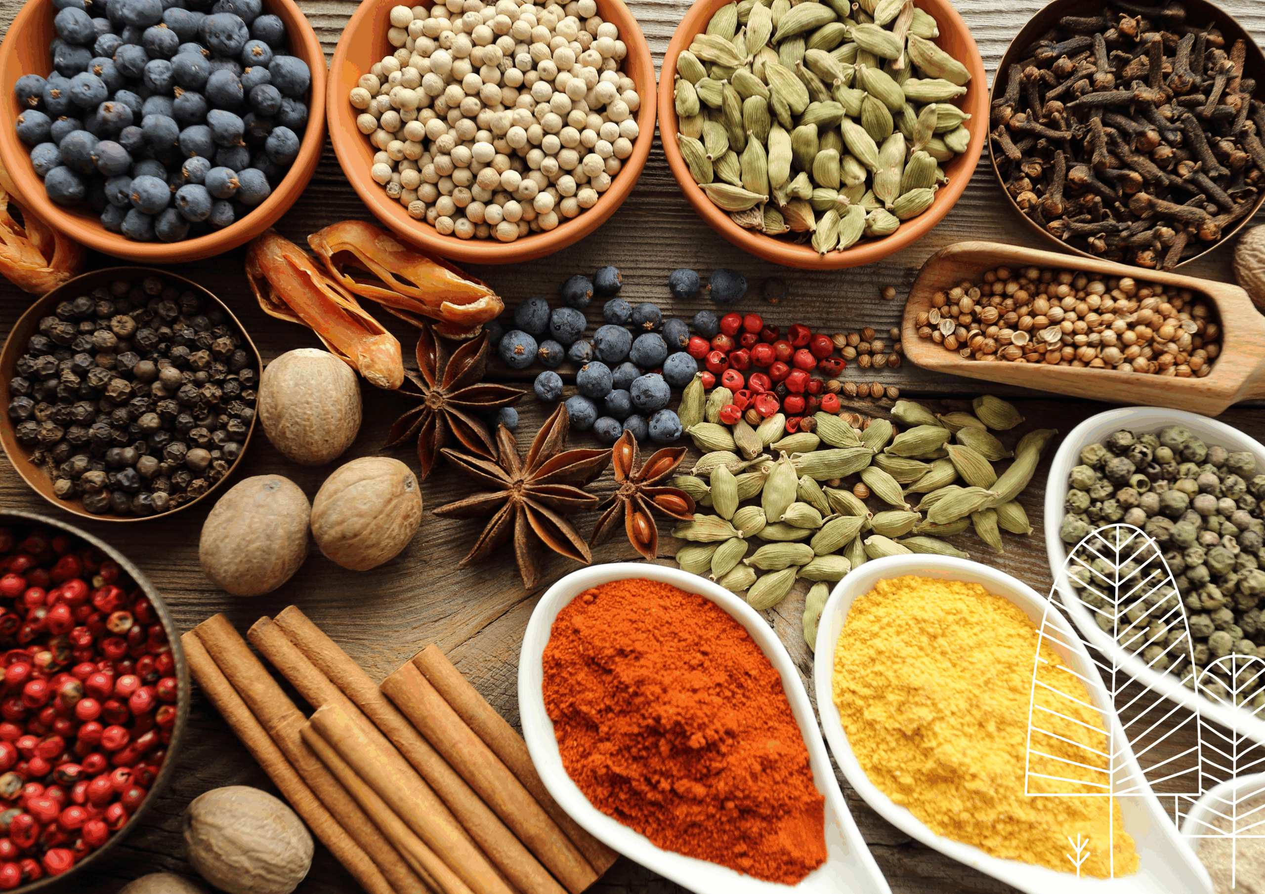 BWK2025-website-pics